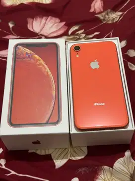iPhone XR 128 BEACUKAI sinyal aman sentosa
