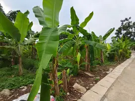 Tanah Strategis di Pagedangan BSD