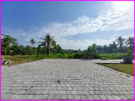 3 Menit Kampus UAD 4, Tanah Strategis di Pengasih Kulon Progo