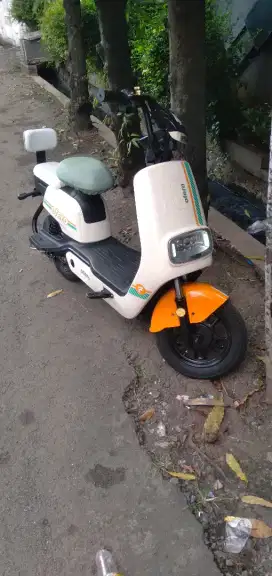 Ofero 2juta nego