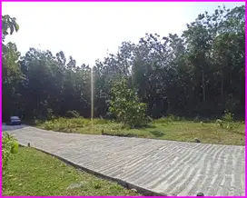 Gotakan Panjatan, Tanah Murah Dekat Polres Kulon Progo