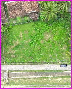 Temon Kulon Progo, Tanah Yogyakarta Dekat Bandara Yia