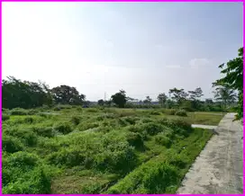 Kumpulsari Purworejo, Tanah Dekat Bandara YIA Hanya 1 Juta/M2