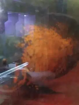 Ikan predator oscar