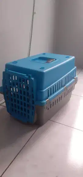 Box kontainer  kucing