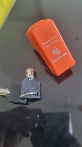 Bike disk lock wheel