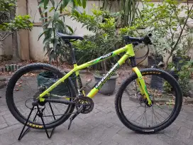 Sepeda Cannondale F600 Team SOBE USA Vintage