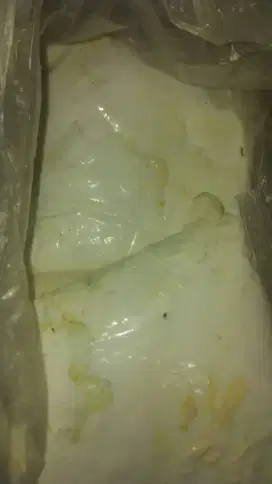 Lem Rajawali BU!!