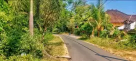 Tanah di central lovina jalan pisang