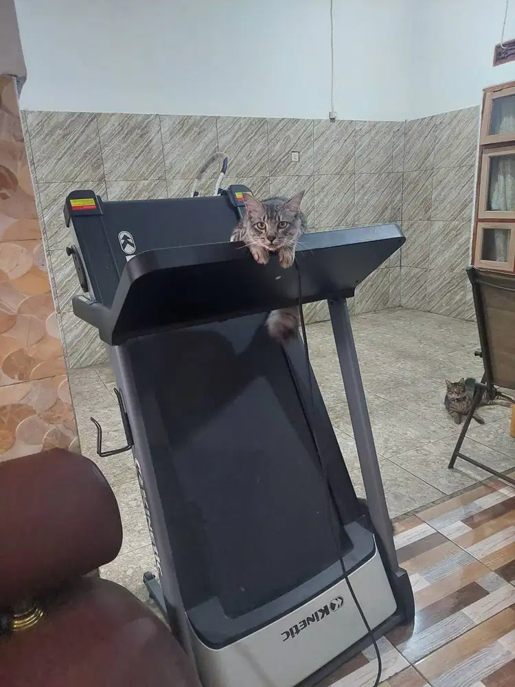 jual cepat  treadmill bekas