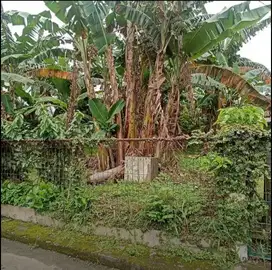 Tanah Murah dibawah Harga Pasar