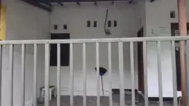 Disewakan Rumah Siap Huni Di Taman Cimanggu JL Kemuning 7 Blok M7 No 2