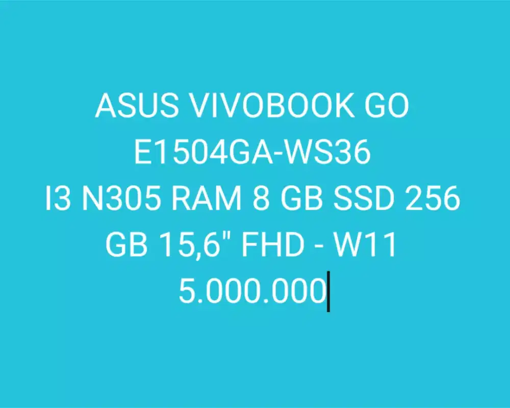 ASUS VIVOBOOK GO E1504GA-WS36