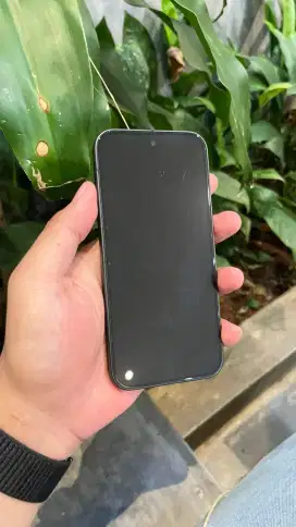 Google Pixel 9 12/128