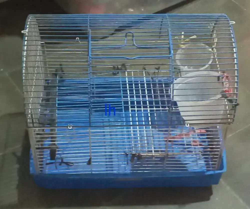 Kandang kotak besi mini