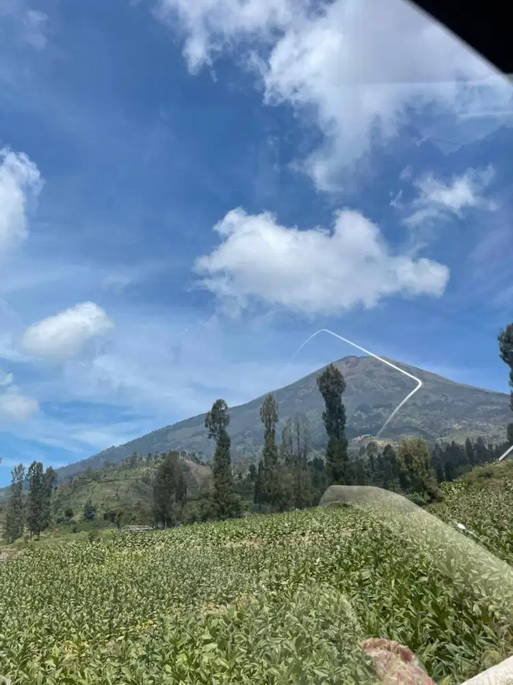 dibutuhkan ART menginap