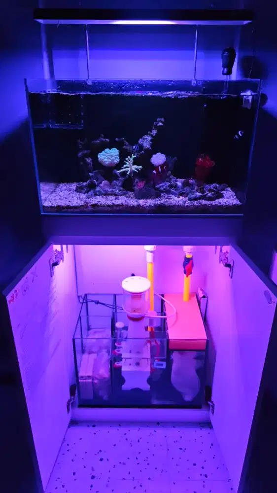 Aquarium Laut 60x35x35
