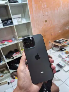 iphone 16 PM 256gb garansi on