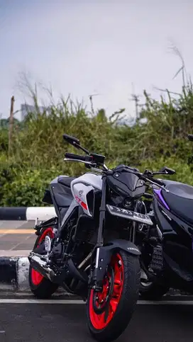 All New MT-25 2020