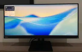 Monitor Ultrawide 29 Inch Lenovo ThinkVision E29w-20 IPS 90Hz
