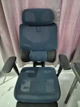 Rexus Ergonomic Chair Daxa