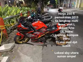 Ninja 250 FI 2013