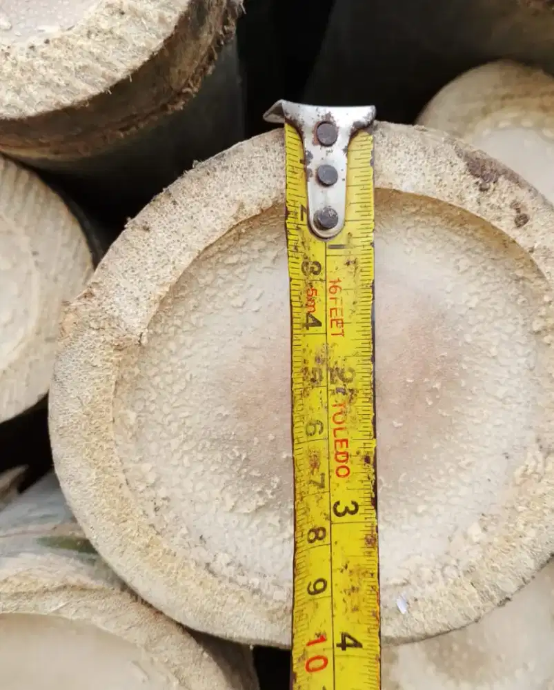 Jual bambu steger buat cor panjang 6 meter