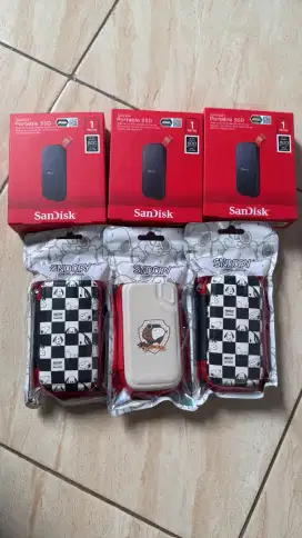 SANDISK PORTABLE SSD 1 TB 800MB