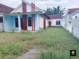 Jual Cepat! 2 Rumah Siap Huni Tanah Luas di Jl. Kedung Ringin Muncar