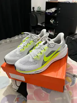 Nike Air Zoom Pegasus 41