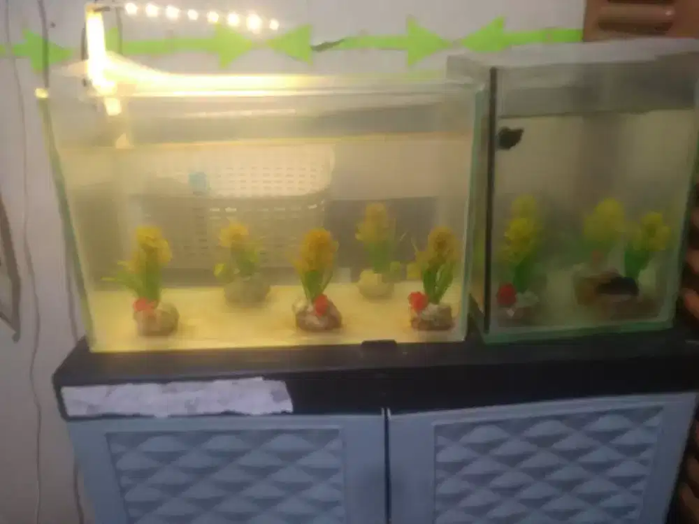 Aquarium kaca unik mungil/besar gaya hiasan kamar