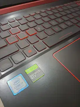 Acer Nitro 5 GTX 1660Ti = 6gb dedicated