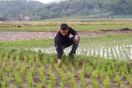 ada sim A aktif dan pengalaman kerja 15 tahun