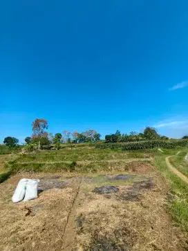 Dijual tanah berbentuk persawahan