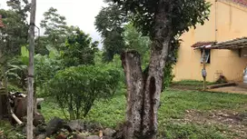 Jual Cepat Tanah SHM MURAH di Sidorejo Salatiga dekat Exit Tol