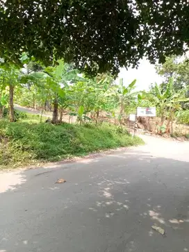 Di Jual Tanah Lokasi Strategis Pinggir Jalan Di Sukamakmur