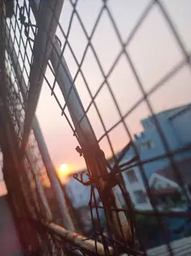 Dibutuhkan segera art momong