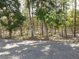 Dijual tanah kebon
