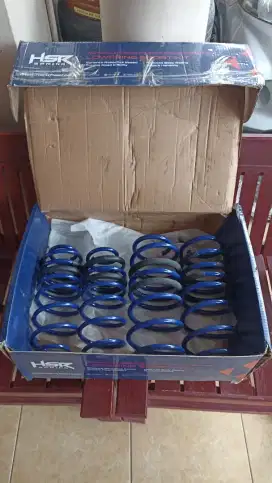 Lowering Kit HSR