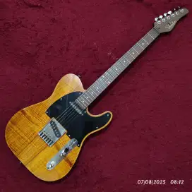 Gitar elektrik schecter PT van Nuys