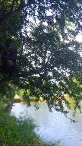 Cari pekerjaan gaji harian/mingguan