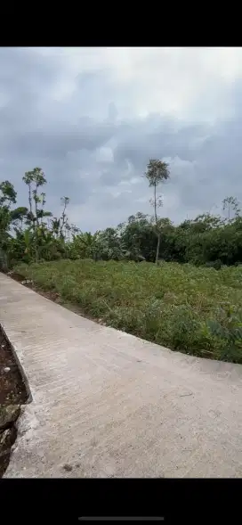 Dijual tanah di desa Cilembu Sumedang