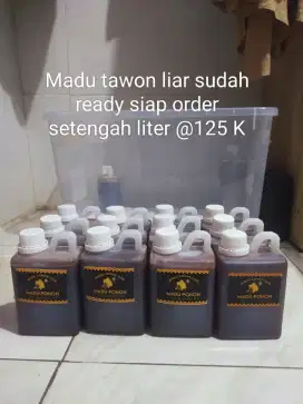 Madu tawon liar asli dari Kupang NTT
