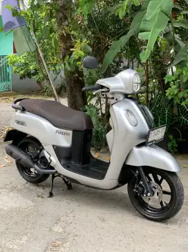 Fazzio Lux 2023