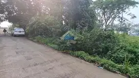 Dijual Tanah Strategis di Cisauk, Tangerang - Banten. Akses dekat BSD