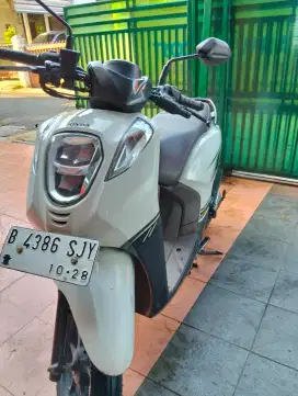Honda Genio 2019