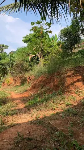 Dijual Murah Kebun Dekat Jalan Raya