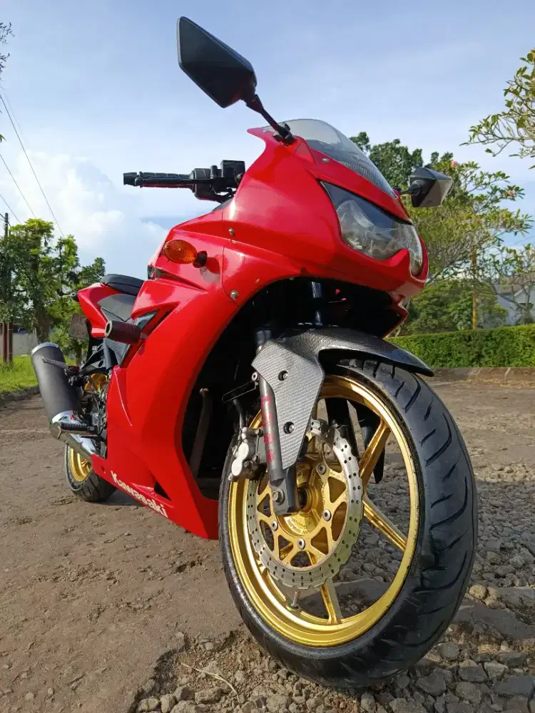 Kawasaki Ninja Karbu 250