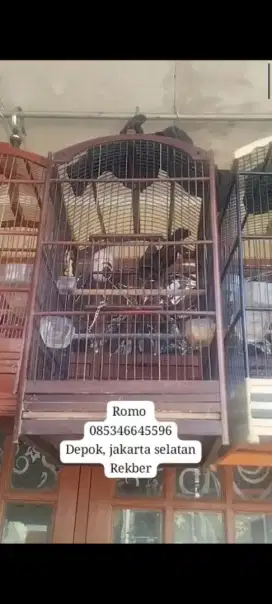 Poksay hongkong gacor