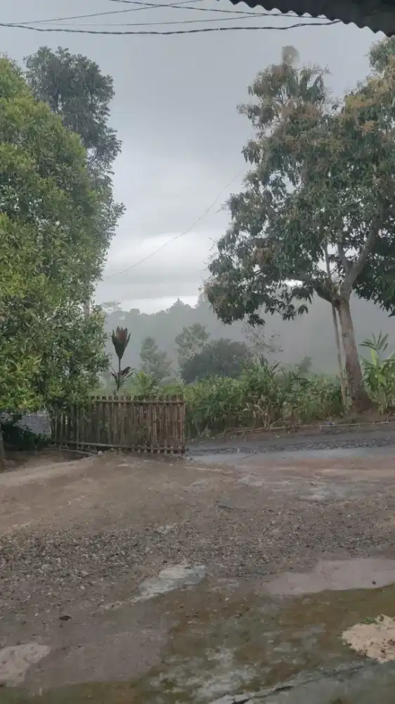 Lagi cari kerja siap jadi driver luar kotaan
